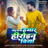 Mehraru Hamar Heroin Hiya (Vinay Pandey Sanu, Sonam Sharma) Thumb