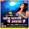 Chand Dharti Pe Aaya Hai - Nishu Aditi Mp3 Song Thumb