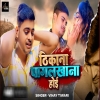 Thikana Pagalkhana Hoi (Vinay Tiwari) Thumb